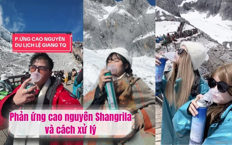 Phản ứng cao nguyên Shangrila và cách xử lý